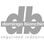 cliente-domingo-bianchini